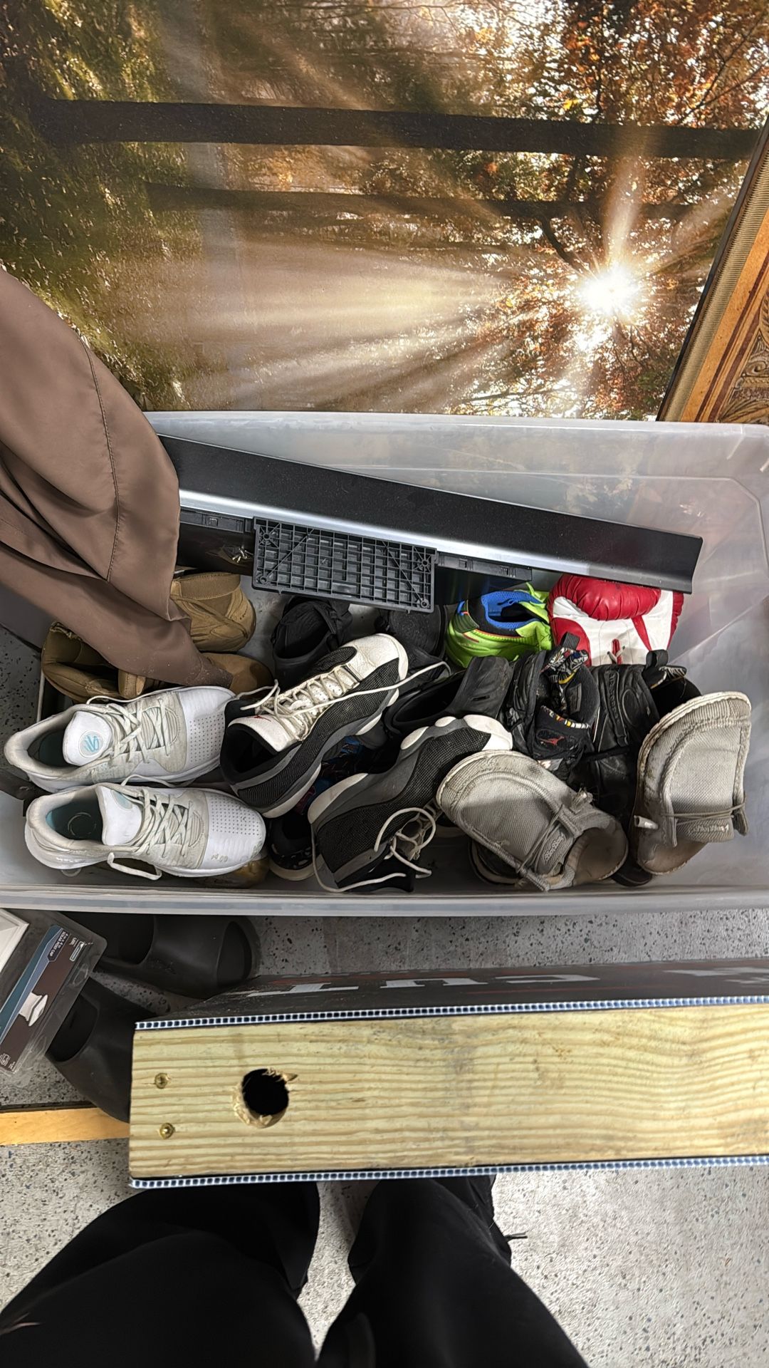 Take The Whole Thing Size-8-10