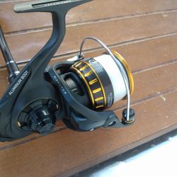 Daiwa Saltwater Spinning Reel BG5000 Fishing Tackle gear equipment 