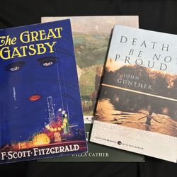 Great Gatsby- Reading Books Bundle / New