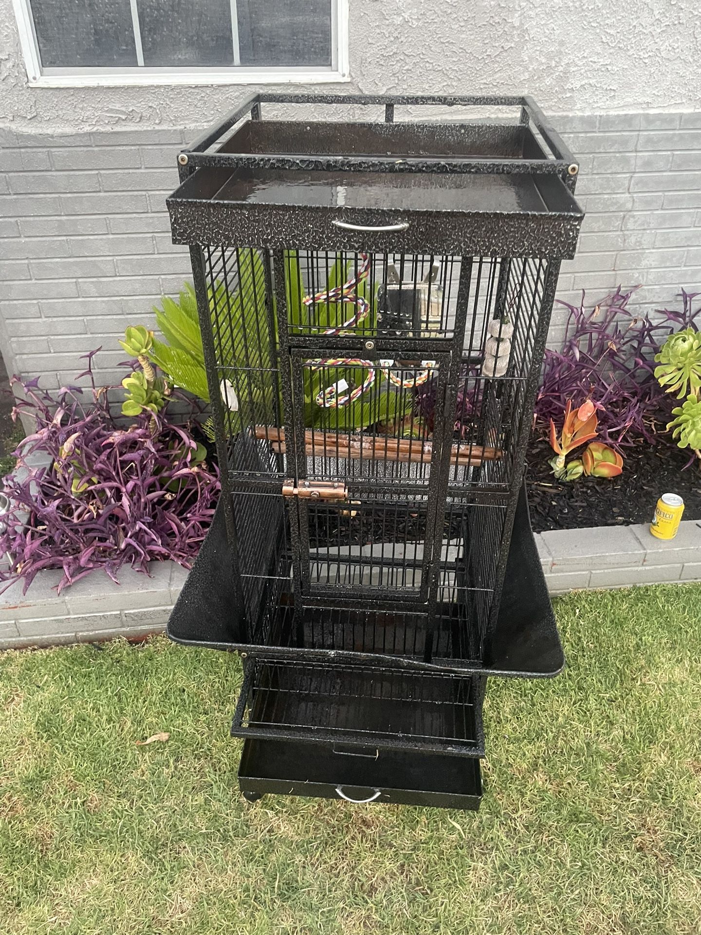 BIRD CAGE
