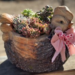 LOADED Large Chicken Valentine’s Day Succulent Arrangement