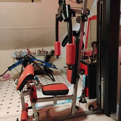 Máquina De Ejercicios,Viene Con El Libro De Muntarlo