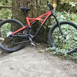 Specialized Enduro Pro Carbon Bike 
