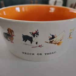Halloween Themed Dog Bowl By RAE DUNN