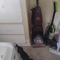 Bissell Pro Heat2x