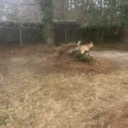 Tree Stump Removable 