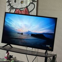 40 Inch Tv Negotiable 