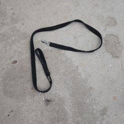 Thick Black Leash
