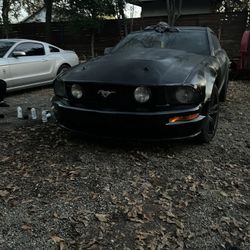 Mustang Gt