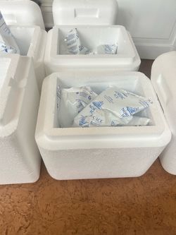 Coolers and Ice Packs