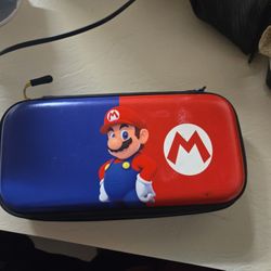 Mario Nintendo switch case