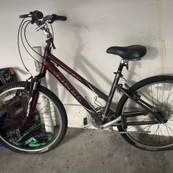 Trek Bike