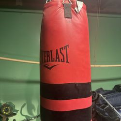 Everlast punching Bag