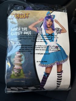 Alice In Wonderland Costume