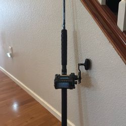 Lamigas Glass Rod, Diawa Saltist 50HB Reel 