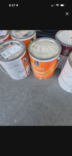 Solo Paint