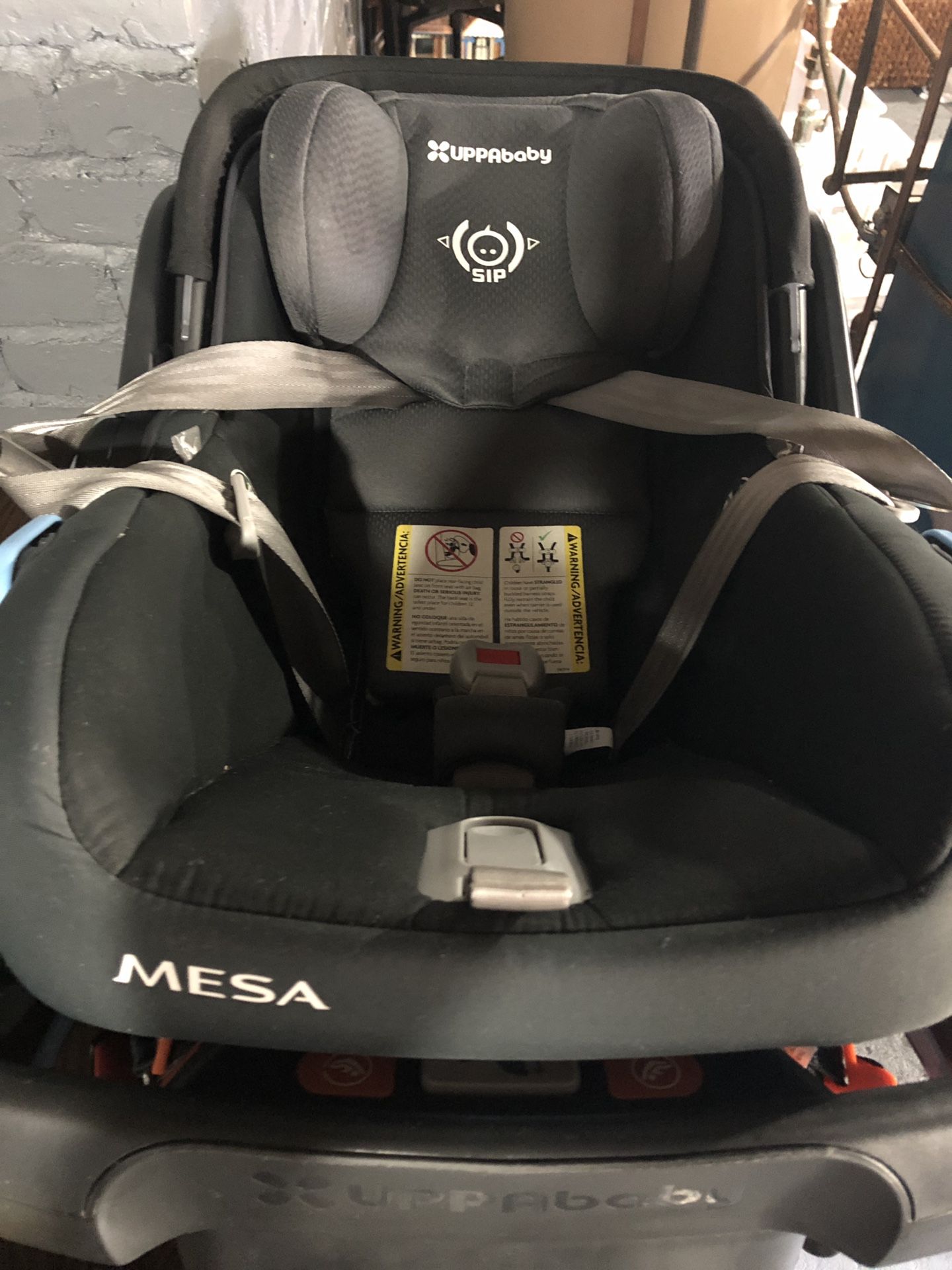 Uppababy Mesa car seat