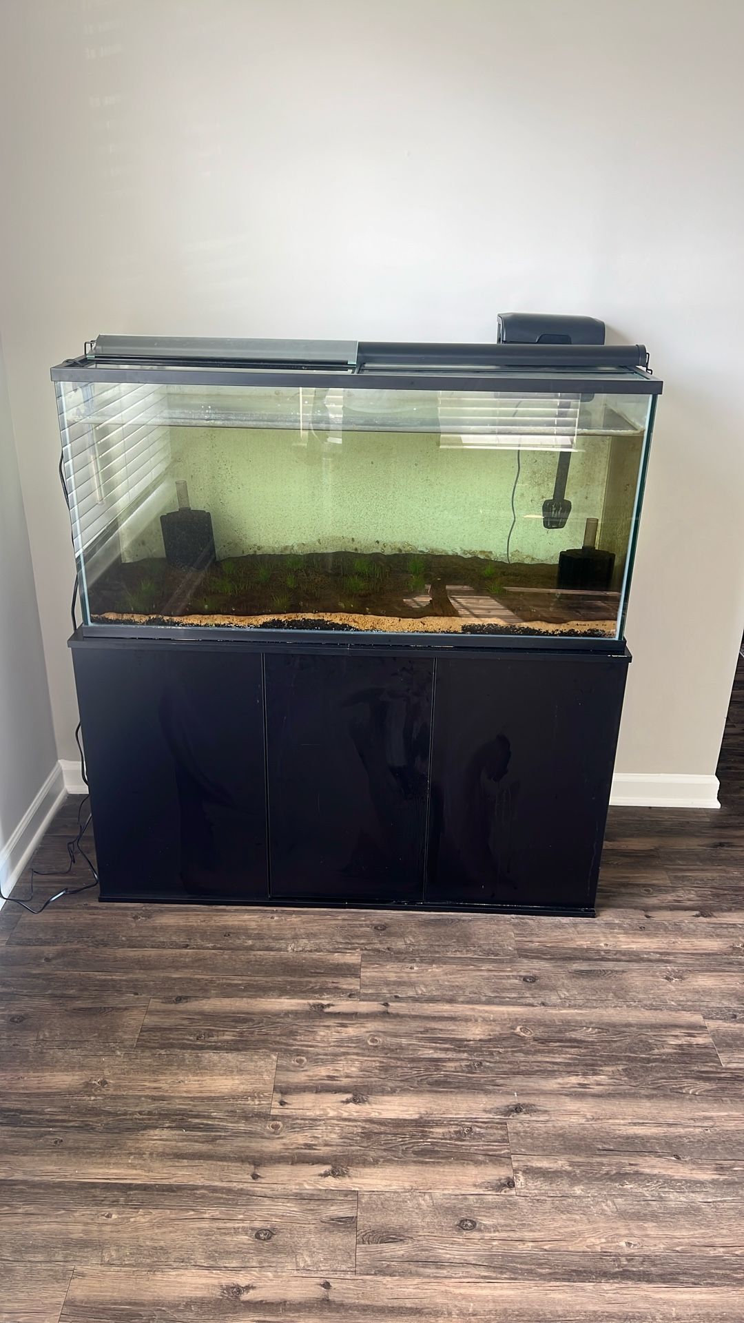 75 Gallon Tank And Stand