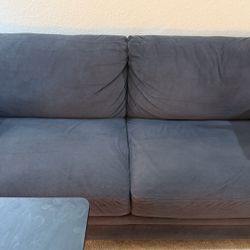 Wayfair Gray Sofa with Cushions