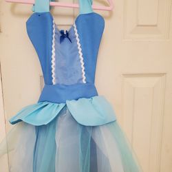 Cinderella Princess Dress Up