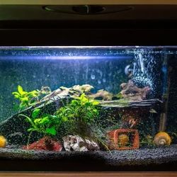 Aquarium Supplies/Different Prices On Many Items