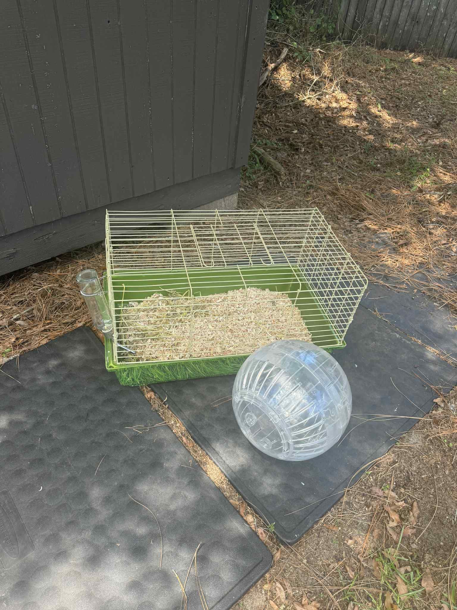 Guinea pig/bunny cage, Exercise Ball And Glass Water Bottle 