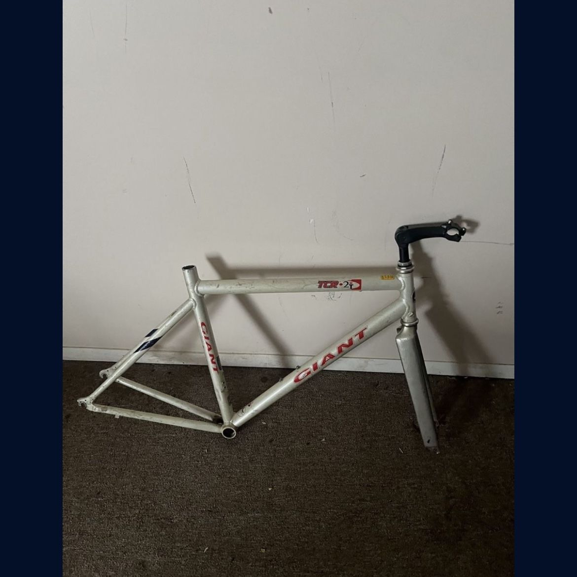 giant bike frame for kids