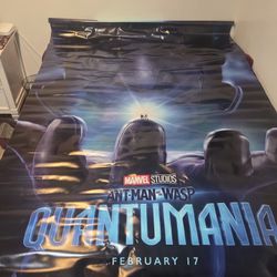 90in, Leathery, Quantummania Movie Poster