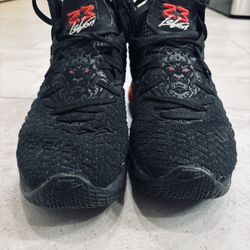 Nike LeBron Men’s 8 1/2