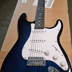 Strat Guitar Profesional Setup