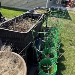Raised Planting Beds, Extensive Drip Irrigation System