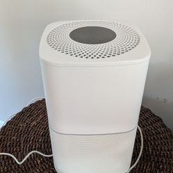 Air Purifier (BetterAir Ecological Balancing System)