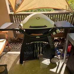 Weber Q 3200 Liquid Propane Gas Grill in Titanium