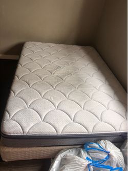 Perfect sleeper queen mattress