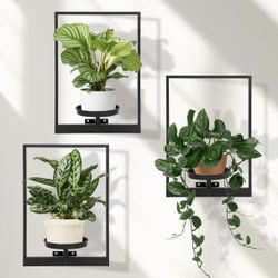 SET OF 3 WALL PLANT 🪴 STAND 