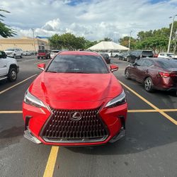 2023 Lexus NX 250