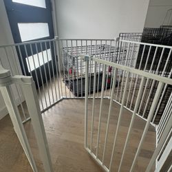 Carlson Convertible Pet Yard