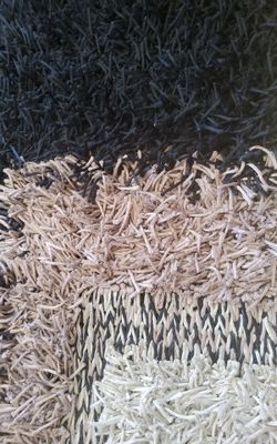 Shag rug