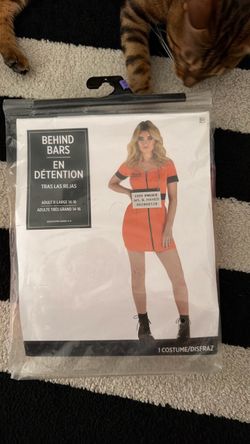 Behind Bars Costume