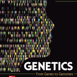 Genetics From Genes To Genomes 7th Edition PDF
