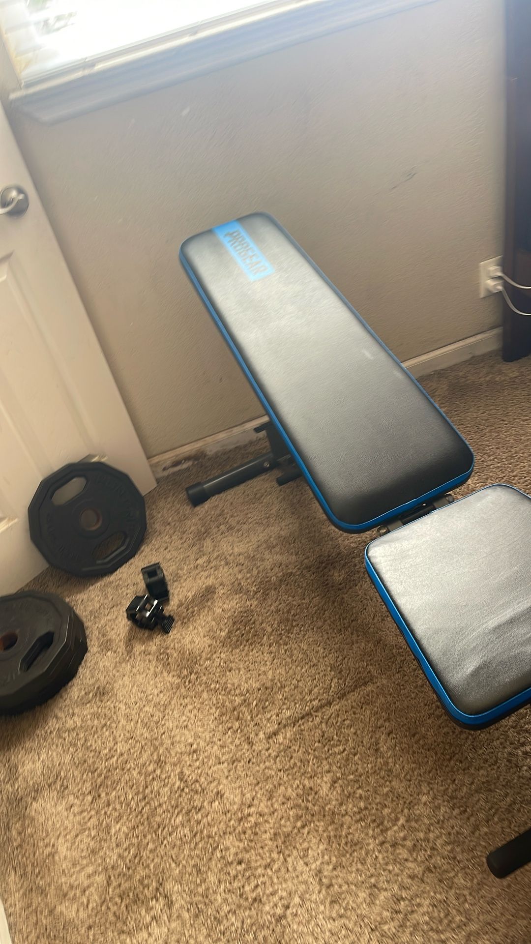 Workout Bench