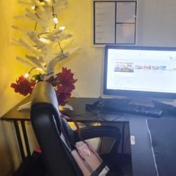 Desk (Chair Included)