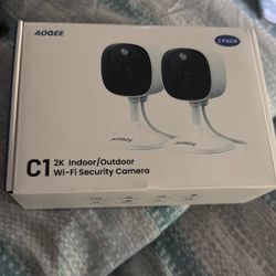 Indoor/outdoor Camera