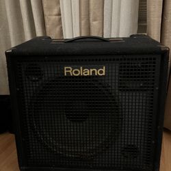 Roland KC 550  Powered Speaker 