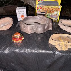 Exotics Bowls and Ledges