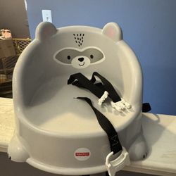 Fisher Price Raccoon Booster Seat For Chair  