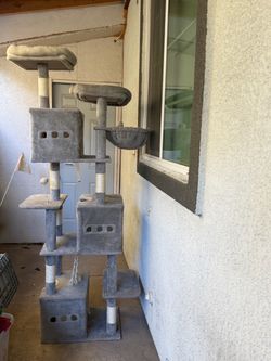 Cat house