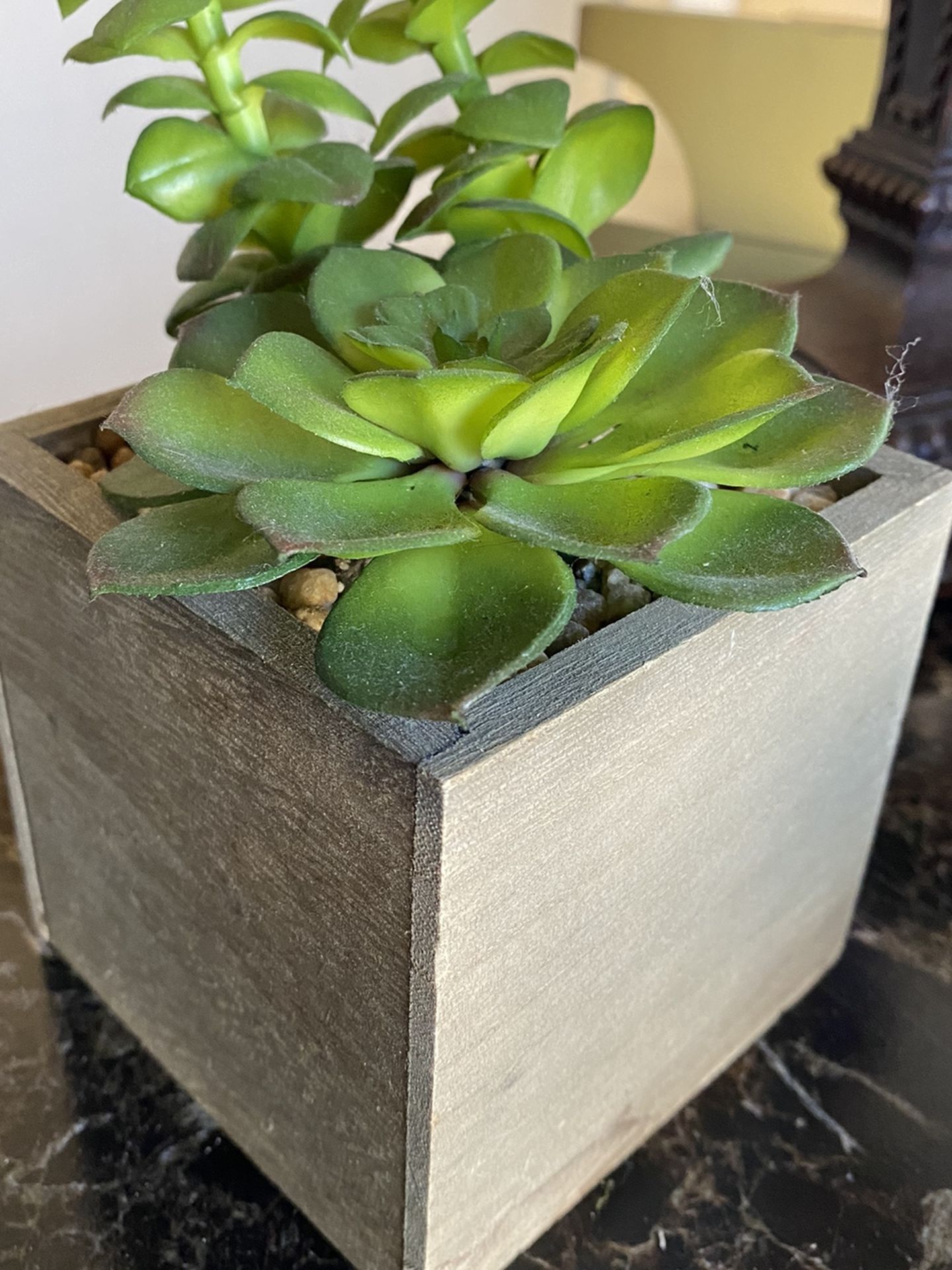 More Artificial Succulent For Indoor Or Outdoor