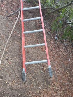 8 foot Louisville ladder