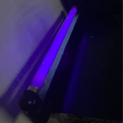 Black Light